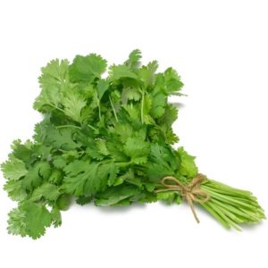 G-Agro-Coriander