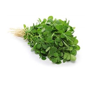 G-Agro-Fenugreek