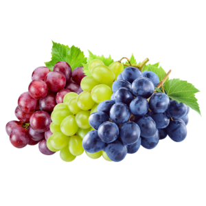 G-Agro-Grapes