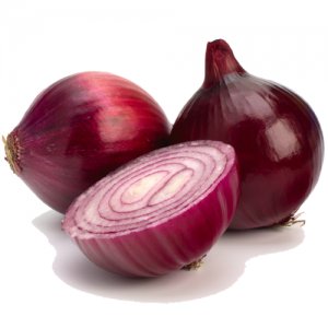 G-Agro-Onion